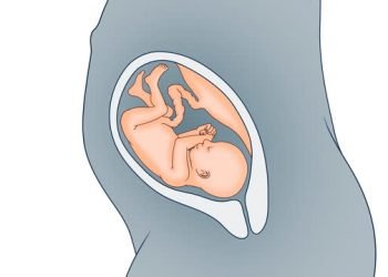 ഗര്‍ഭകാലത്തെ ആദ്യ മൂന്നുമാസം