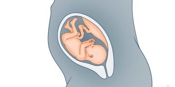 ഗര്‍ഭകാലത്തെ ആദ്യ മൂന്നുമാസം