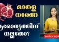 മാതള നാരങ്ങ ആരോഗ്യത്തിന് നല്ലതോ? | Is Pomegranate good for Health | Doctor Live