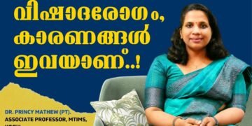 വിഷാദരോഗം ബാധിക്കാന്‍ കാരണം | Reasons for Depression | Dr Princy Mathew
