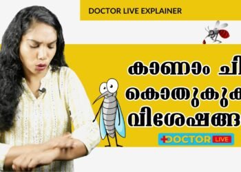 Why mosquitoes Bite some people more than Others