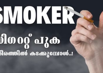 Cigarette smoke and Lungs