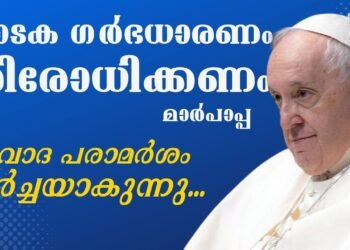 Pope Francis about surrogacy