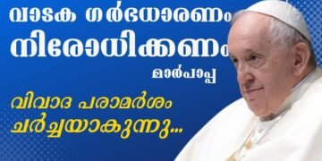 Pope Francis about surrogacy