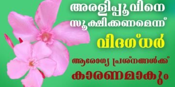 Today’s Health News 16-01-2024