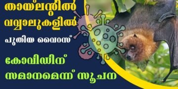 New Virus found in Bats