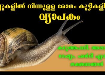 Todays’ Health News 26-02-2024