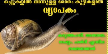 Todays’ Health News 26-02-2024