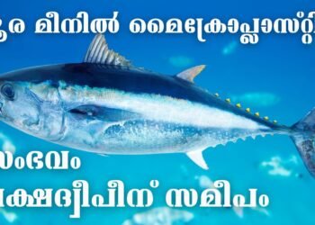 Today’s Health News 08-03-2024