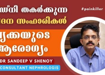 Kidney and Pain killer