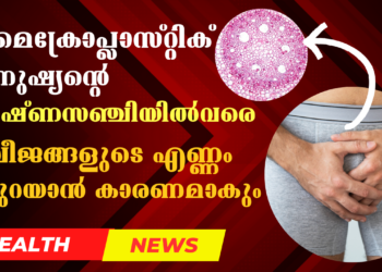 Today’s Health News 12-06-2024