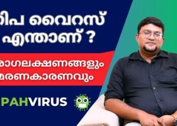 What is Nipah Virus