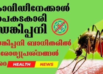 Dengue Fever Is More Dangerous Than Covid