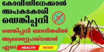 Dengue Fever Is More Dangerous Than Covid