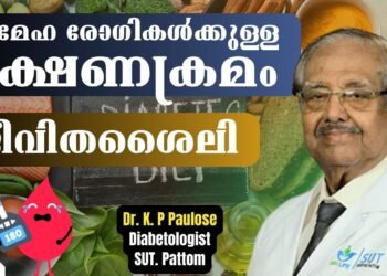 Food Routine for Diabetic Patients