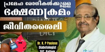 Food Routine for Diabetic Patients