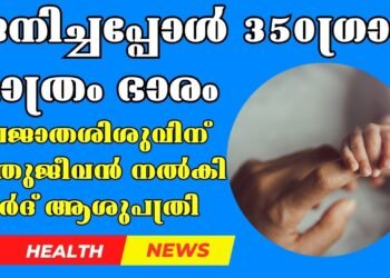 New life for the newborn