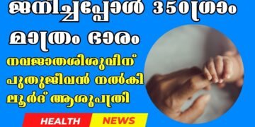 New life for the newborn