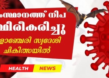 Nipah virus confirmed in Kerala
