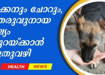 Today’s Health News 12-07-2025