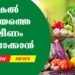 Today’s Health News 11-10-2025