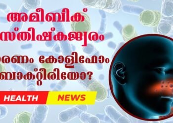 Today’s Health News 27-10-2025