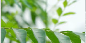 Today’s Health News