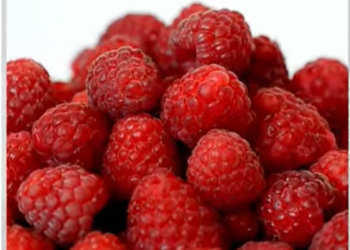 വണ്ണം കുറയ്ക്കാൻ റാസ്ബെറി