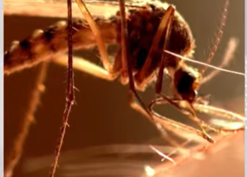 Today’s Health News 20-01-2026