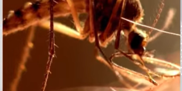 Today’s Health News 20-01-2026