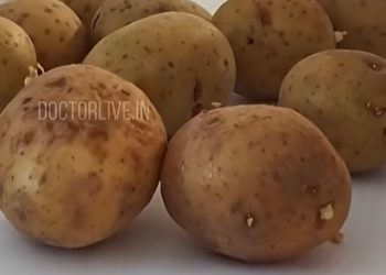 മുളപൊട്ടിയ ഉരുളകിഴങ്ങ് സുരക്ഷിതമോ?