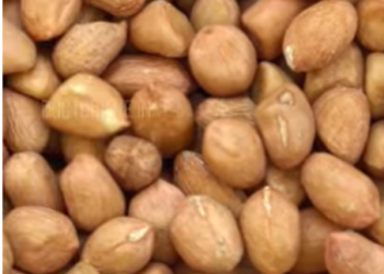 കപ്പലണ്ടി കഴിക്കുമ്പോൾ തൊലി കളയണോ