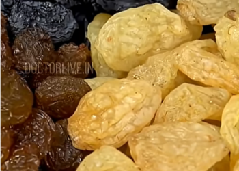 കറുത്ത ഉണക്കമുന്തിരിയോ? മഞ്ഞ ഉണക്കമുന്തിരിയോ ആരോഗ്യത്തിന് മികച്ചത് #blackraisins