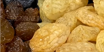 കറുത്ത ഉണക്കമുന്തിരിയോ? മഞ്ഞ ഉണക്കമുന്തിരിയോ ആരോഗ്യത്തിന് മികച്ചത് #blackraisins