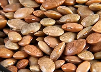 മുതിര കഴിക്കുബോൾ ശ്രദ്ധിക്കേണ്ട കാര്യങ്ങൾ