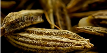 ചിയ സീഡോ ജീരകമോ, ശരീരഭാരം കുറയ്ക്കാൻ നല്ലത്