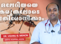 Malaria Day 2026