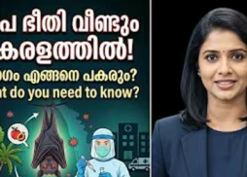 Nipah : We Should Aware