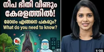 Nipah : We Should Aware