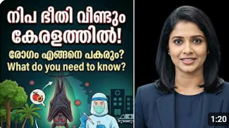 Nipah : We Should Aware